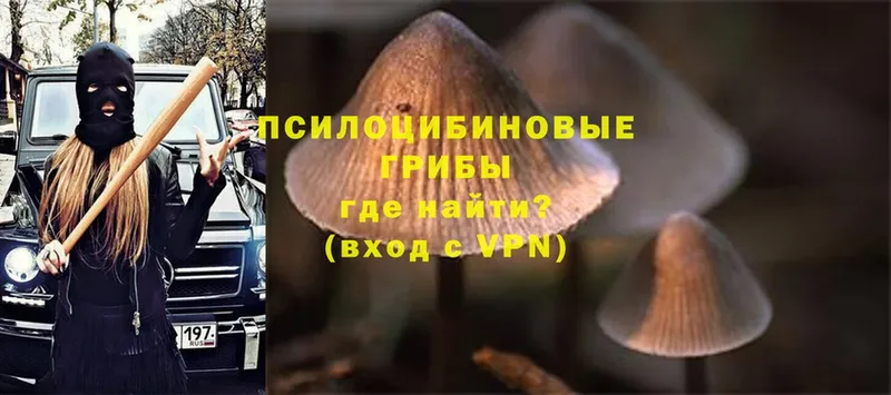 Псилоцибиновые грибы Magic Shrooms  Калачинск 